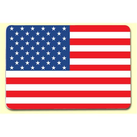 PAINLESS LEARNING American Flag Placemat 4PK AMR1